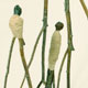 public art