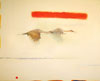 Two Sandhill Cranes in Tan with Red