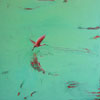 Spoonbill in Tourquoise
