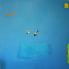 2 Rufous in Blue with Rectangles and Shapes
