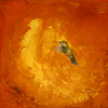Broadtail in Orange with Gold