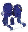 Square Dancing Blue Ribbons. Back